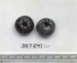Click for 1 image(s) for this accession. FRUIT